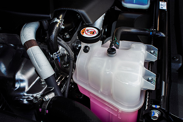 Can I Add Water Instead of Antifreeze to My Radiator in The Summer? | Romay's Auto Service